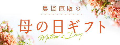 母の日ギフト